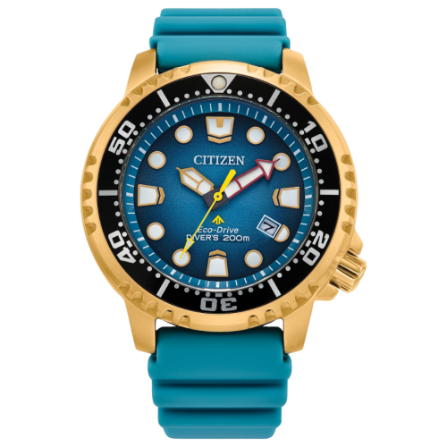 148455-242CT016202-242CT016202.PNG